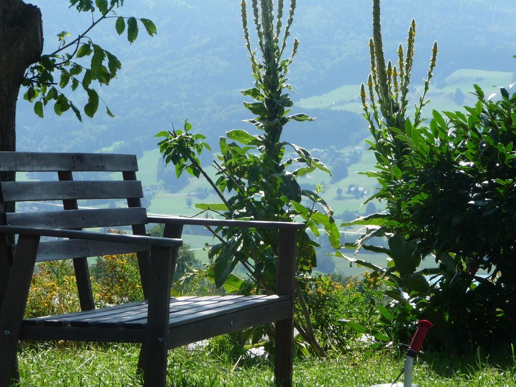 Familienferienhof Stabauer Zell am Moos Zewnętrze zdjęcie