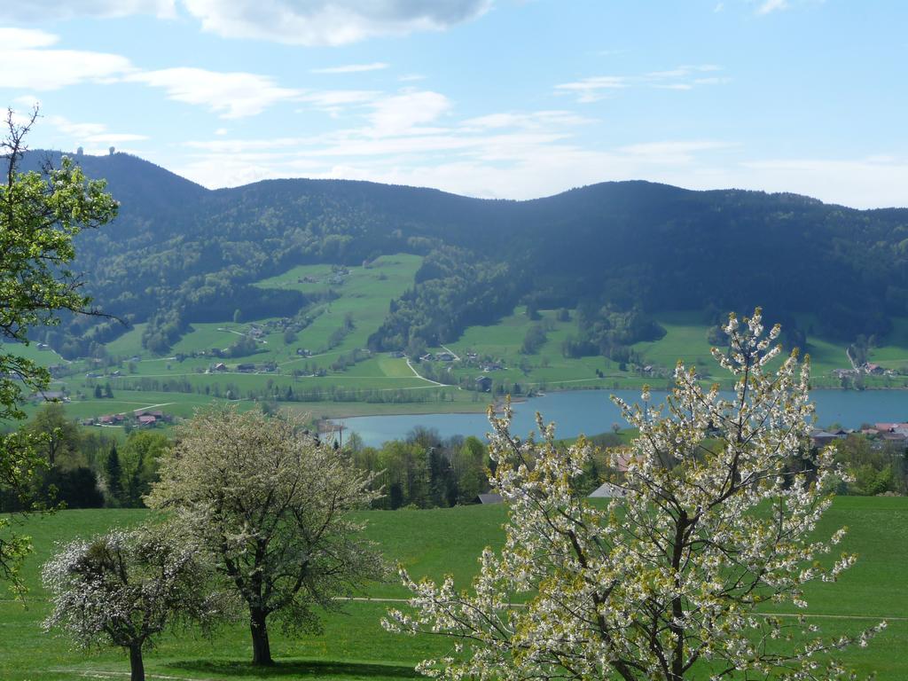 Familienferienhof Stabauer Zell am Moos Zewnętrze zdjęcie