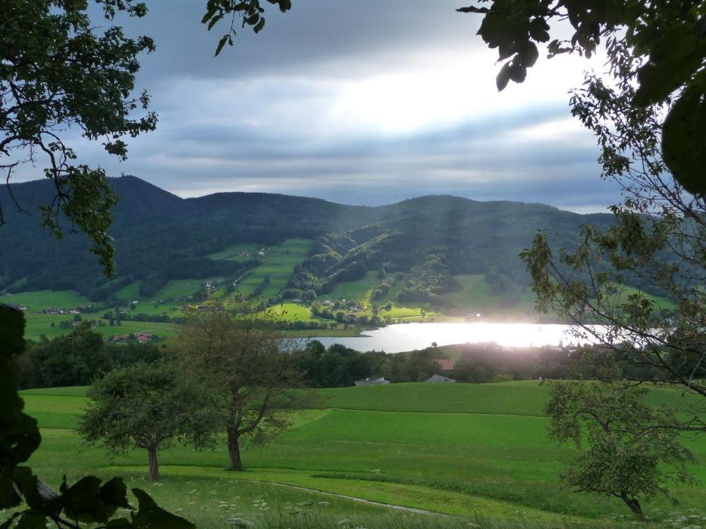 Familienferienhof Stabauer Zell am Moos Zewnętrze zdjęcie