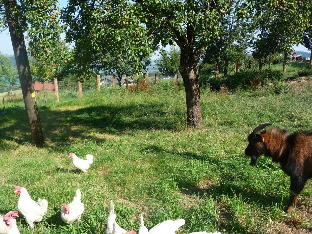 Familienferienhof Stabauer Zell am Moos Zewnętrze zdjęcie